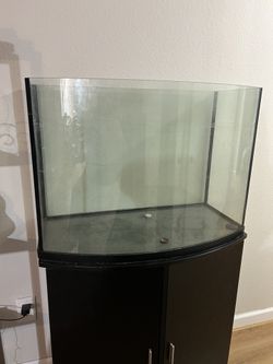 Fish Tank