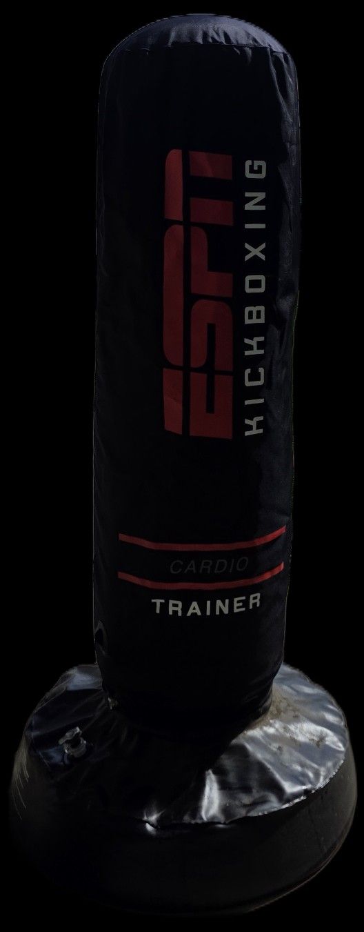 Punching Bag