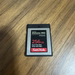 Cfexpress TypeB 256gb