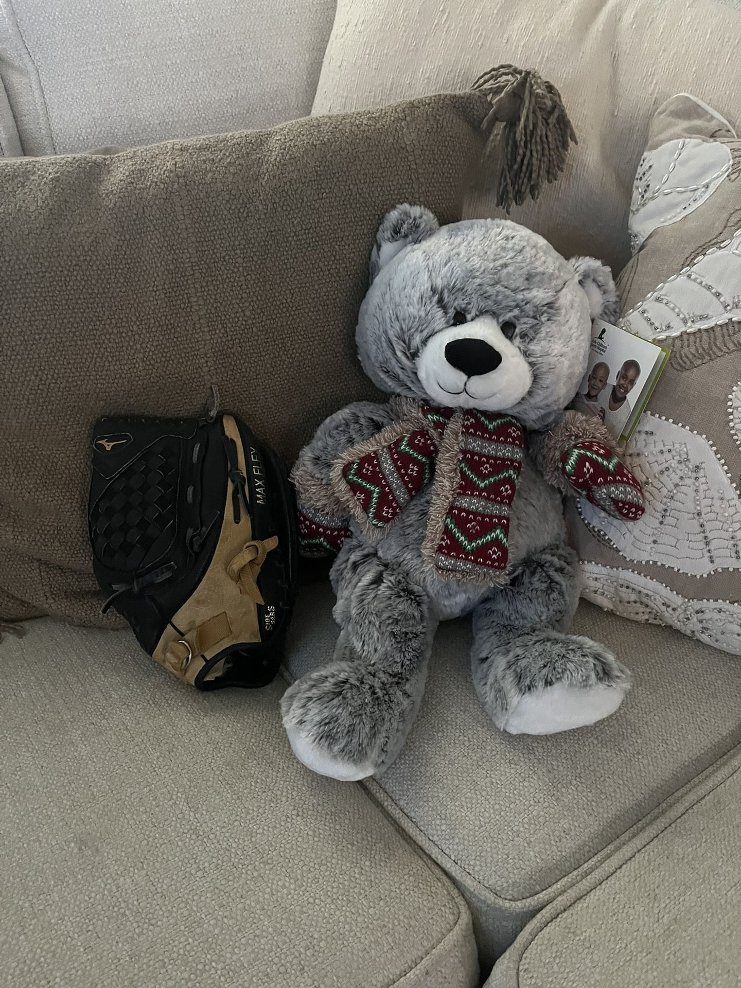 Baseball Gloves And Teddy Bear