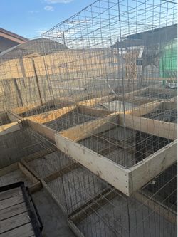 Rooster Cages