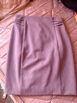 Express Pencil Skirt