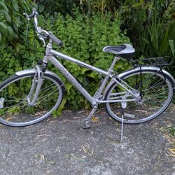Dinamic Runabout