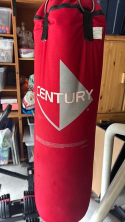 Century punching bag