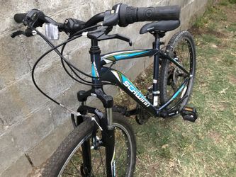 Schwinn castle store rock 24