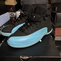 Air Jordan12