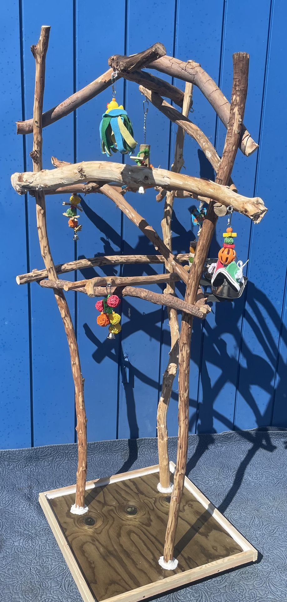 Thick n Curvy Macaw Perch Tree…. A Great Socializer… Fun Time For Mr Gnarly !!