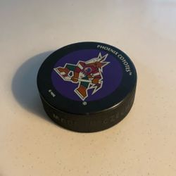 Pro Hockey Puck