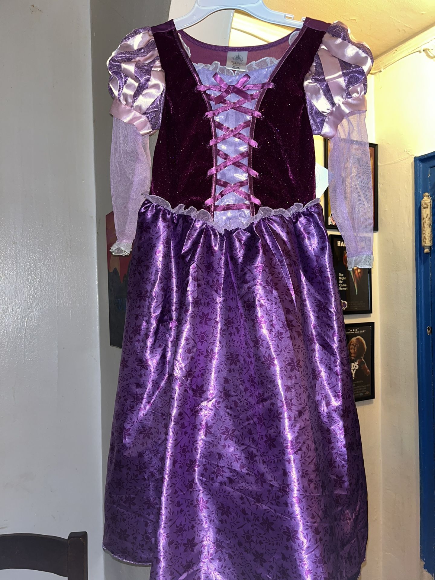 Disney Rapunzel Costume