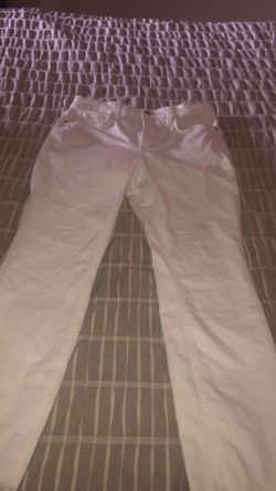 Ladies Pants