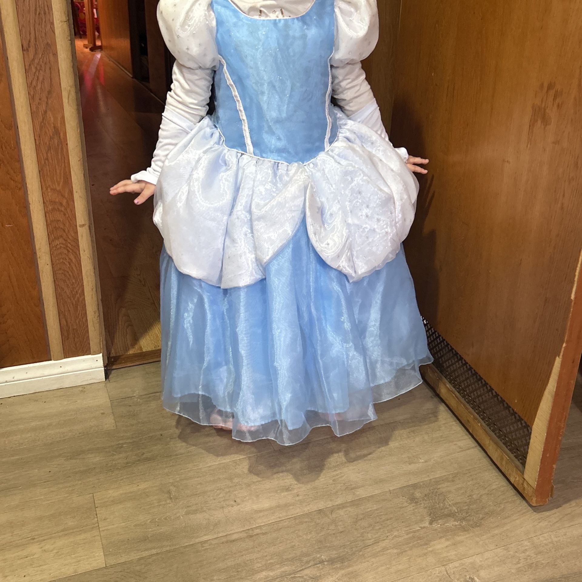 Cinderella dress