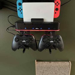 Nintendo Switch OLED and Switch Lite