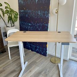Electric Standing Desk