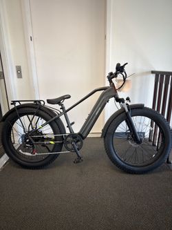 TRECKCRAZE WARRIOR 500W/48V 28MPH E-BIKE ELECTRIC BIKE