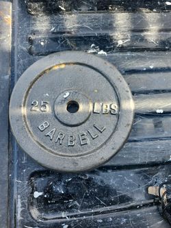 25lb Standard Plate 1