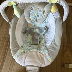 Baby Bouncer