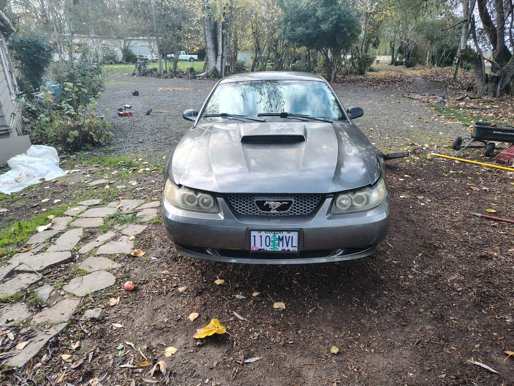 2004 Ford Mustang