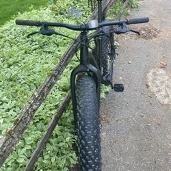 Specialized Fat Boy, Xl Bike