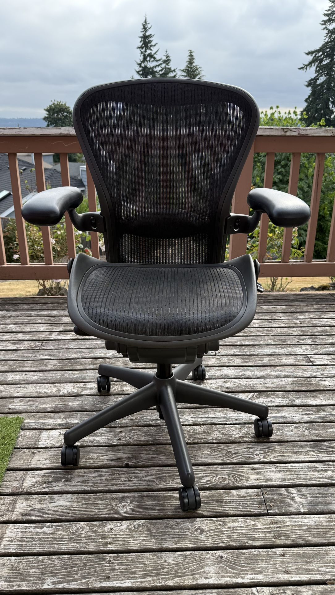 Herman Miller Arron Classic Office Chair Size B