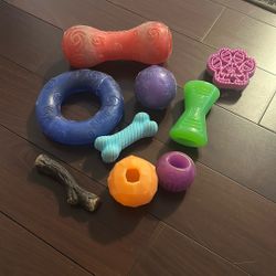 Dog 🐾 Toys