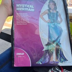 Mystical Mermaid Costume 
