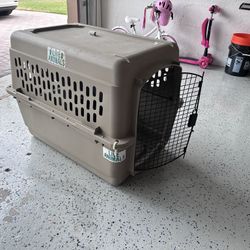 Pet Carrier 