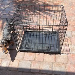 Dog Crate 