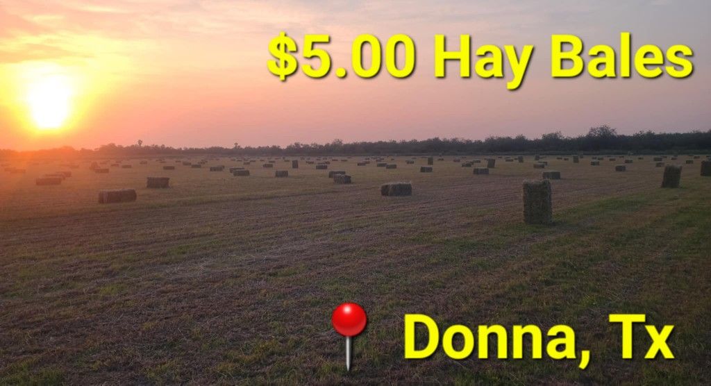 SQUARE HAY BALES