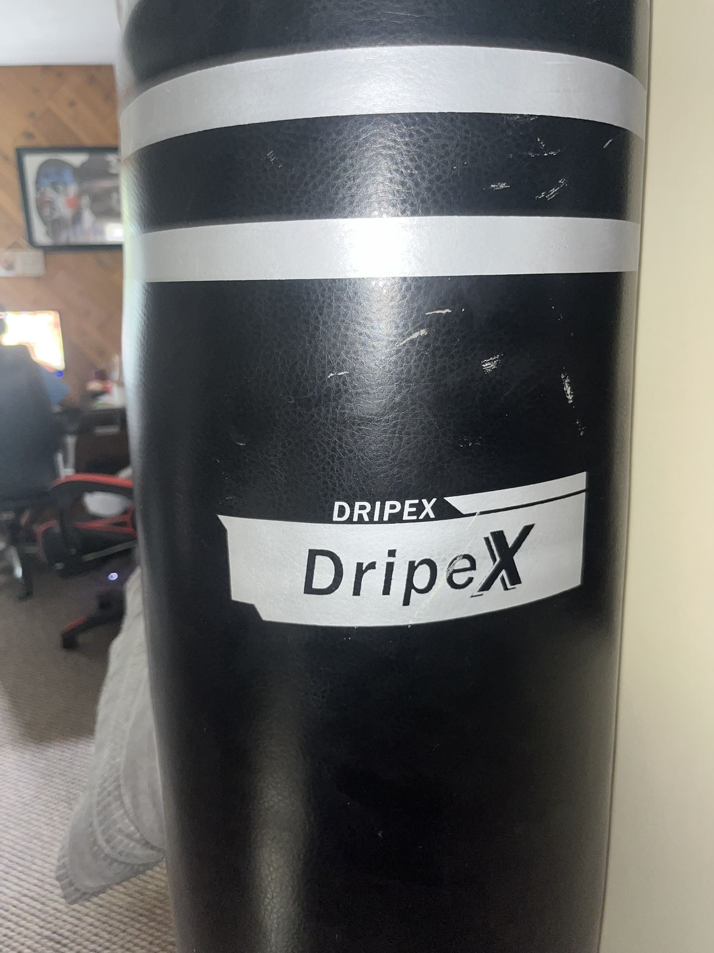 DripeX punching bag with gloves