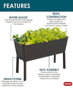 Keter Easy Grow Raised Garden Bed and Self Watering Planter Box 31.7 Gallon