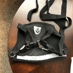 Large Cat Harness & Leash
