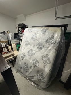 Queen Mattresses