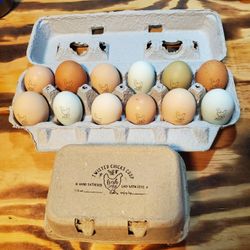Fresh Family Chicken Eggs 