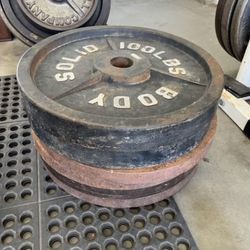 100lbs Olympic Weight Plates 