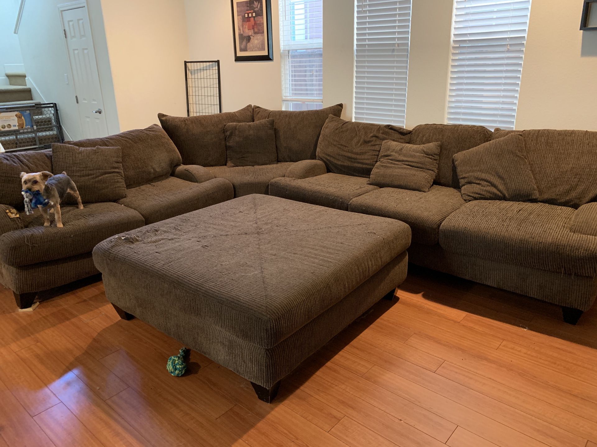 Huge sectional couch!