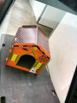 Cardboard cat house