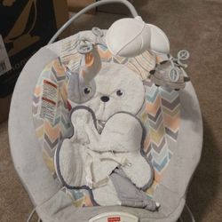 Baby Bouncer