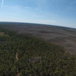 Land For Sale - Florida 