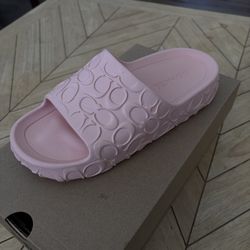 Pink Coach Bay Slides
