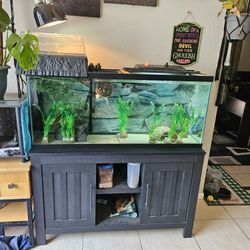 55 Gal Aquarium Complete Set Up