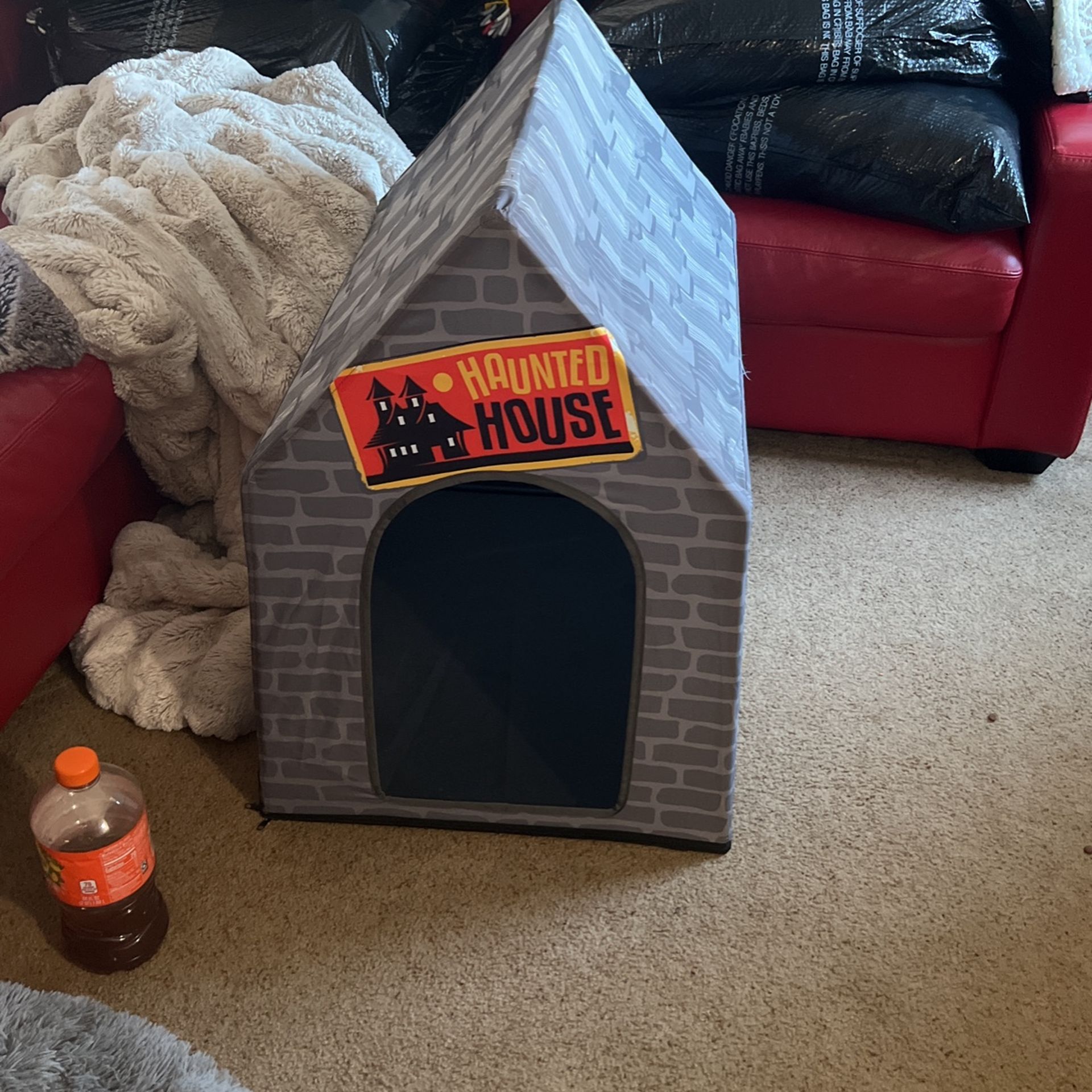 Dog House 