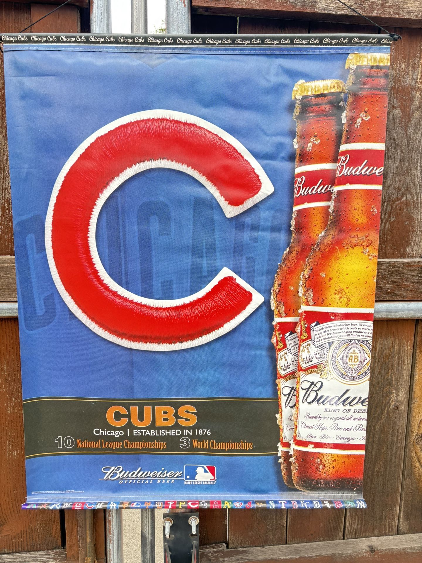 Cubs Banner