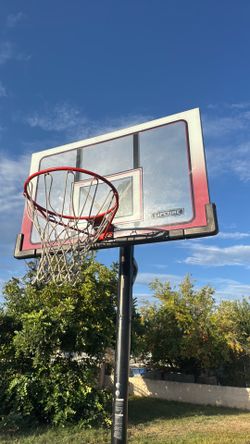 Lifetime basketball hoop