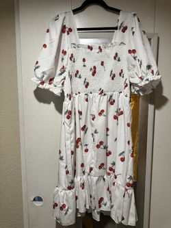 Plus Size 2x Cherry Dress
