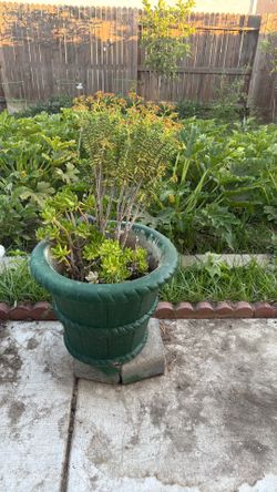 Stone planter
