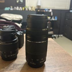 75-300mm Canon Lense