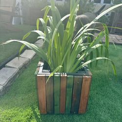 Wood Planter With The Plant 