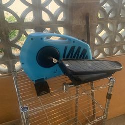 blue tiger bulb head step machine
