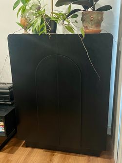 Black MCM cupboard with shelves