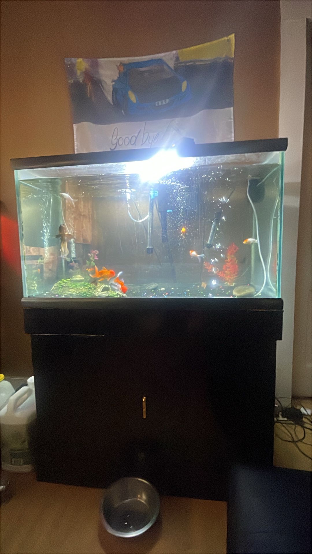 60 Gallon Aquarium